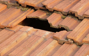 roof repair Cadeby