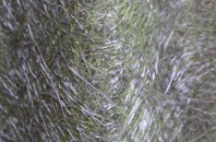 Cadeby fibreglass roof work